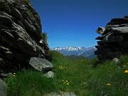 52 risalito un valloncello, sono alla Bocchetta di Budria (2216 m.)